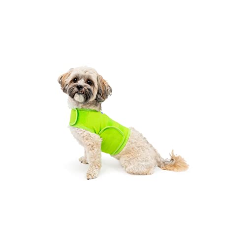 Mellow Shirt Dog Anxiety Calming Wrap, X-Small, Lime von Mellow Shirt