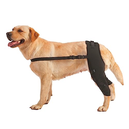 Memmyly 1 Paar Hunde-Beinbandage für Bein, Hund, Kniebandage für Hinterbein, Hinterbein, Sprunggelenk, Kompressionsbandage und zusätzliche Unterstützung bei Verletzungen und Verstauchungen von Arth von Memmyly