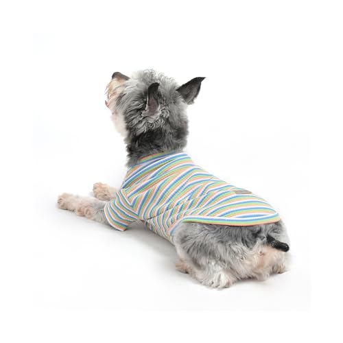 MengMengDa Hundekleidung für kleine Hunde, Größe XS, Baumwolle, für drinnen im Winter, Schnauzer, Chihuahua, Katzen-Shirt, Welpen, atmungsaktiv, weiche Kleidung (grün gestreift, Größe XS) von MengMengDa