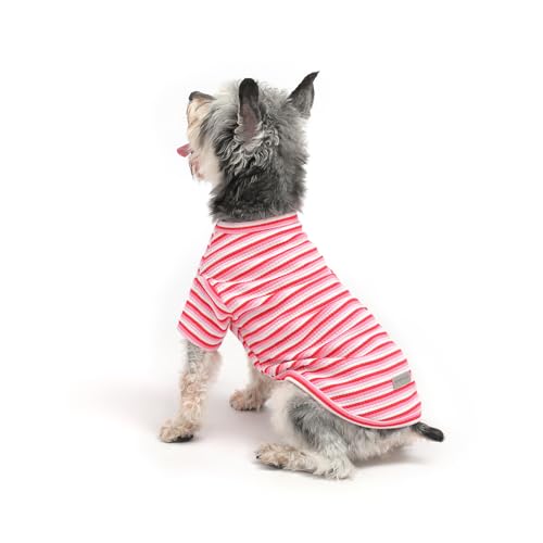 MengMengDa Hunde-Shirt für kleine Hunde, gestreifte Hemden, Hundekleidung für kleine Hunde, Mädchen, Jungen, Schnauzer, Chihuahua, Welpen, atmungsaktiv, weiche Kleidung (rosa gestreift, XS) von MengMengDa