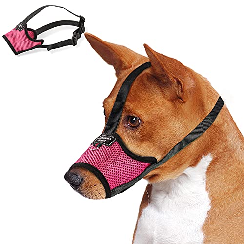 Mengbei tribe Maulkorb für kleine, mittelgroße und große Hunde, verhindert Beißen, Bellen, weicher Maulkorb für Hunde, Nylon-Netz, verstellbare Schlaufe, Anti-Dropping (M, Rose Red) von Mengbei tribe