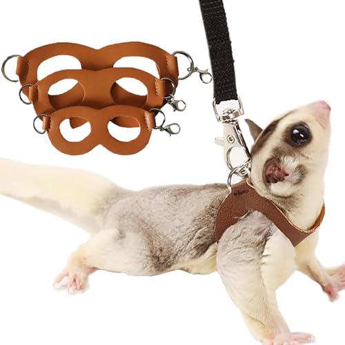 Sugar Glider Geschirr und Leine, Set für Kleintier-Trainingsweste für Eichhörnchen, Hamster, Ratten (Br) von Meow&Woof