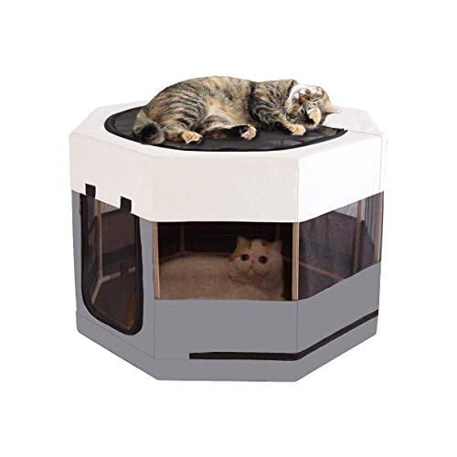 Meow&Woof Katzen-Laufstall für Kleintiere, Holzrahmen, Katzenkäfig, für den Innenbereich, Kätzchen, Hunde-Spielgehege für Welpen, große Größe, stabile Struktur, lange Lebensdauer (73,7 cm B 41,9 cm H, von Meow&Woof