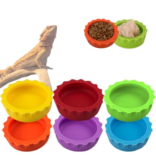 Meow&Woof Futter- und Wassernapf für Reptilien, bunte Wassernapf für Bartagamen, Terrarium, Zubehör für Schildkröten, Krabben und kleine Haustiere, 6 Stück von Meow&Woof