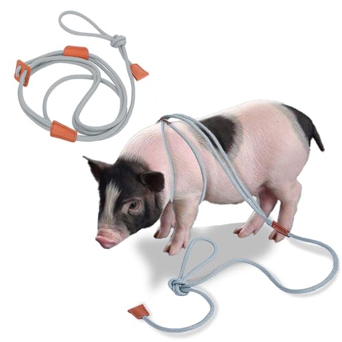 Mini Pig verstellbares Geschirr und Leine (Grey) von Meow&Woof