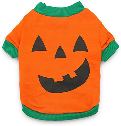 Hunde-Halloween-Shirt, Kürbiskopf, Halloween-Kostüm, Haustier-T-Shirt, Hunde-Shirts für kleine Hunde, Größe L von MeowWow