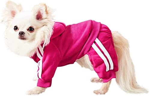 MeowWow XS Small Dog Puppy Outfits for Small Dogs, Small Dog Tracksuit, Puppy Jumpsuit, Puppy Hoodie, Girl Extra Small Chihuahua Clothes, Button Pullover Striped 4 Legs Dogs Winter Cotton Sweatshirt von MeowWow