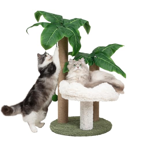 Katzenkratzbaum Palme mit Bett Wolke Niedlicher Katzenbaum für Innen Große Katzen 3 Kratzstangen Sisal Hängende Bälle für Katze Sitzstange Katzenkratzer für Kätzchen und Erwachsene Katzen Tower von Meowoou