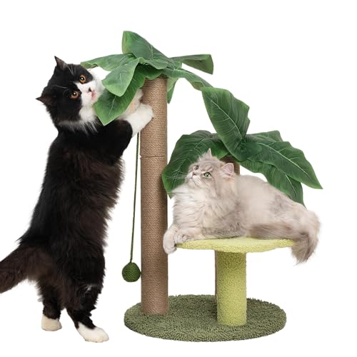 Katzenkratzbaum mit Blumenbeet Niedlicher Katzenkratzbaum mit Sisalkugel Kleiner Katzenbaum für Innen Katzen Barsch Katzenturm für große ausgewachsene Katzen und Kätzchen von Meowoou