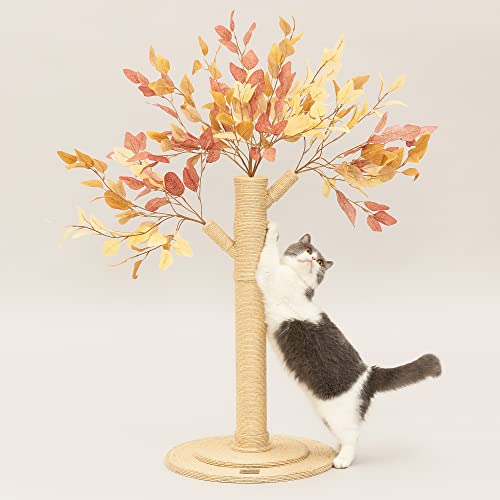 Meowoou Kratzbaum für Katzen, 105,9 cm hoch, Sisal umwickelt, Modern, Innenbereich, Großer Katzenkratzbaum für ausgewachsene Katzen und Kätzchen von Meowoou