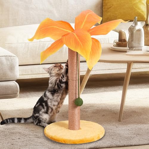 Kratzbaum für Katzen, 59,9 cm, niedlicher Katzenkratzbaum mit Sisalseil für Innenkatzen, Palme, Katzenkratzbaum mit baumelnden Bällen für kleine Katzen, Gelb von Meowoou