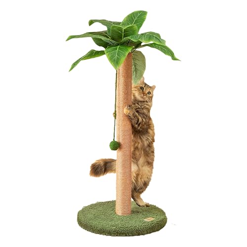 Kratzsäulen für Katzen 84 cm niedlicher Katzenkratzer Kätzchen Kratzbaum mit Sisalseil für Wohnungskatzen Palmen-Katzenkratzbaum mit baumelnden Bällen für kleine Katzen von Meowoou