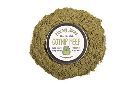 Meowy Janes Katzenminze-Keef, 14 g, konzentriert, fein gemahlen Meowy Janes Katzenminze-Keef, 14 g, konzentriert, fein gemahlen von Meowy Janes