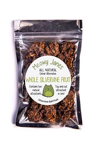 Meowy Janes Whole Silvervine Fruit- getrocknete Silvervine Gallfrucht- Actinidia Polygama - Katzenspielzeug - Katzenspielzeug Meowy Janes Whole Silvervine Fruit- getrocknete Silvervine Gallfrucht- Actinidia Polygama - Katzenspielzeug - Katzenspielzeug von Meowy Janes