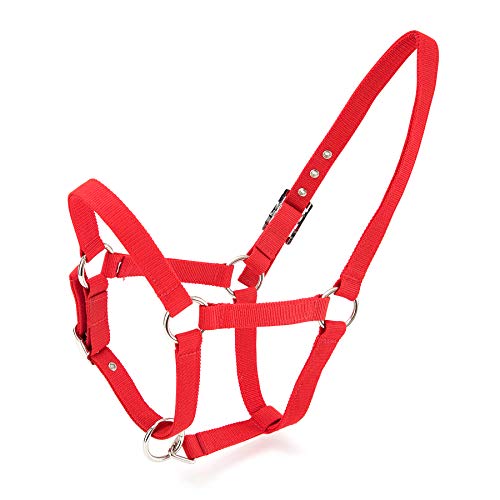 Merauno® Halterset Trendy Nylon Pferd Halfter Silber Verstellbare Schnalle im Nacken und in der Nase Hochwertiges Polyesterband für Pony Vollblut Warmblut (Cob, Rot) von Merauno