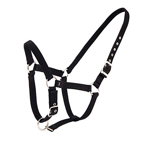 Merauno® Halterset Trendy Nylon Pferd Halfter Silber Verstellbare Schnalle im Nacken und in der Nase Hochwertiges Polyesterband für Pony Vollblut Warmblut (Cob, Schwarz) von Merauno