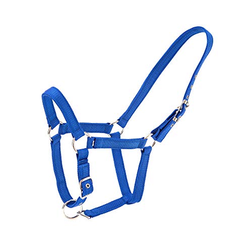 Merauno® Halterset Trendy Nylon Pferd Halfter Silber Verstellbare Schnalle im Nacken und in der Nase Hochwertiges Polyesterband für Pony Vollblut Warmblut (Pony, Blau) von Merauno