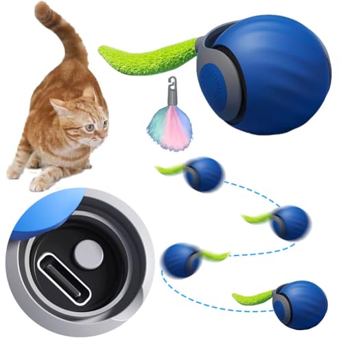 Merrwon Interaktiver Spielball für Katzen Hunde, Katzenspielzeug Ball Elektrisch mit Ersatzschwanz, USB Automatisches Katzenspielzeug Elektrisch, Magic Ball Hund (Blau) von Merrwon