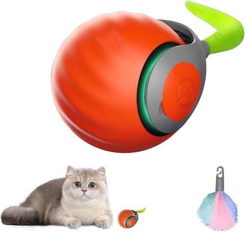 Merrwon Interaktiver Spielball für Katzen Hunde, Katzenspielzeug Ball Elektrisch mit Ersatzschwanz, USB Automatisches Katzenspielzeug Elektrisch, Magic Ball Hund (orange Farbe) von Merrwon