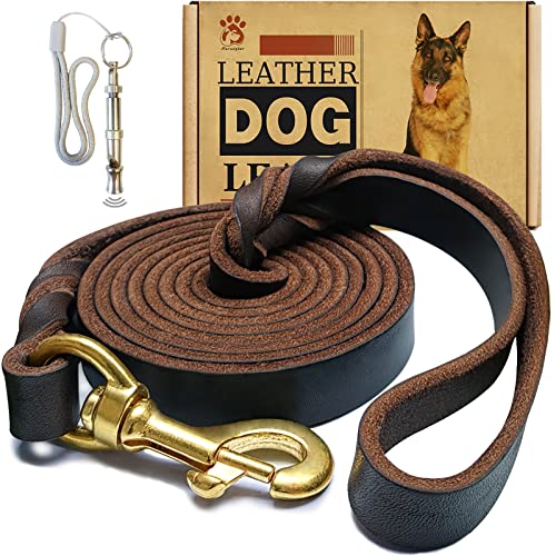 Leder-Hundeleine, 1,8 m x 1,6 cm, robust, geflochtenes Echtleder, weich und bequem, Lederleine für große Hunde, mittelgroße und kleine Hunde, Braun von Meruogkar