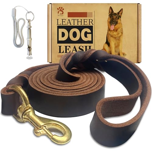 Hundeleine aus Leder, 1,8 m x 2,5 cm, robust, geflochtenes Echtleder, weich und bequem, Lederleine für große Hunde, mittelgroße und kleine Hunde, Braun von Meruogkar