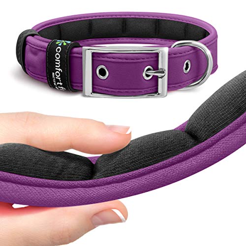 Comfort Fit Hundehalsband – weich gepolstertes Hundetrainingshalsband mit Verstellbarer Schnalle – atmungsaktives und leichtes Haustierhalsband – langlebig, strapazierfähiges Hundehalsband – Lila, von Metric USA