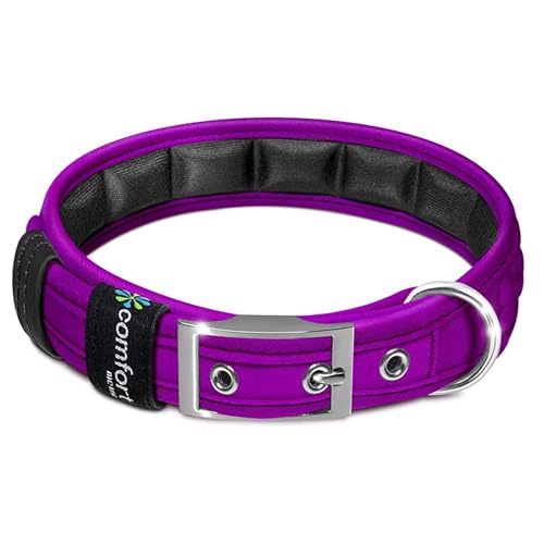 Metric USA Comfort Fit Weich gepolsterte Hundehalsbänder mit Schnalle Verstellbares Komfort-Halsband für kleine, mittelgroße und große Hunde (lila, M) von Metric USA