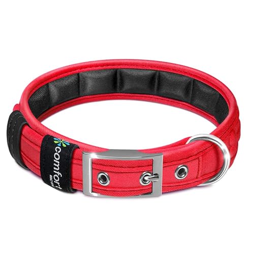 Metric USA Comfort Fit Weich gepolsterte Hundehalsbänder mit Schnalle Verstellbares Komfort-Halsband für kleine, mittelgroße und große Hunde (rot, L) von Metric USA