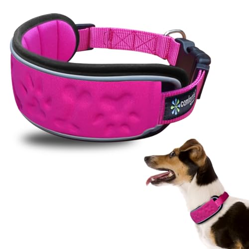 Reflektierendes Hundehalsband mit bequemer, weicher, abnehmbarer Polsterung, verstellbar für kleine und mittelgroße Hunde, Schnellverschluss-Schnalle, Hundehalsband, Welpenhalsband (Rosa, Halsumfang von Metric USA