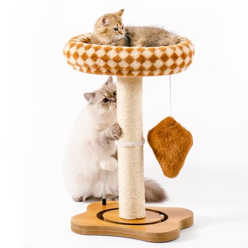 Mewoo Katzenkratzbaum mit Bett, Katzenturm mit Katzenkratzbaum, Kleiner Katzenbaum für Indoor-Katzen, Sisal-Kratzbaum mit Abnehmbarer Katzen-Sitzstange, Katzenballbahn und Kätzchenspielzeug (Braun, von Mewoo