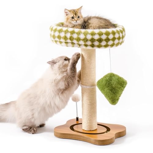 Mewoo Katzenkratzbaum mit Bett, Katzenturm mit Katzenkratzbaum, Kleiner Katzenbaum für Indoor-Katzen, Sisal-Kratzbaum mit Abnehmbarer Katzen-Sitzstange, Katzenballbahn und Kätzchenspielzeug (Grün, von Mewoo