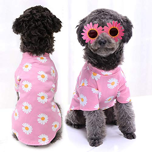 Meyufave Fashion Pet Kleidung Hund und Katze Liefert Frühjahr/Sommer/Herbst Set Rosa und Schwarz Chrysantheme für 5-7,5 kg Hunde (Pink, X-Large) von Meyufave