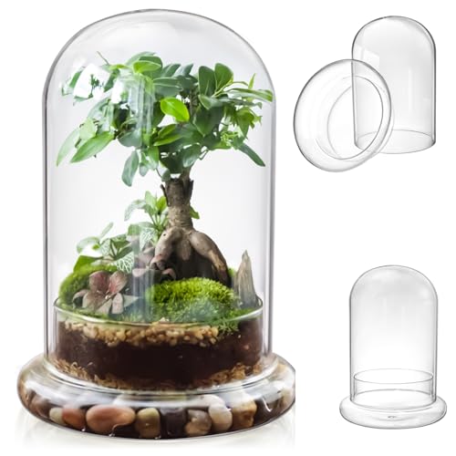 Mezchi Glas-Pflanzen-Terrarium für Pflanzen, 15 x 15 x 21 cm, große Glasglocke, Kuppelglas mit Sockel, selbsthaltendes geschlossenes Terrarium für Moos, Miniatur-Gartenlandschaft, keine Pflanzen von Mezchi