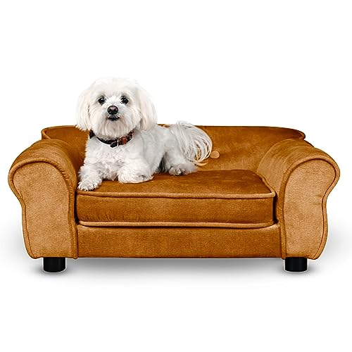 Hunde Bett, Katzen Bett orange - Sofa für Hund, mit Armlehnen, Rückenlehne, aus strapazierfähigem Veloursstoff - dekoratives Sofa Klein für Kleintiere, für Katze, hundebett mittelgroße hunde von Mg Design