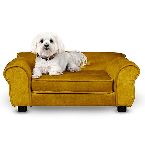 Hunde Bett, Katzen Bett orange - Sofa für Hund, mit Armlehnen, Rückenlehne, aus strapazierfähigem Veloursstoff - dekoratives Sofa Klein für Kleintiere, für Katze, hundebett mittelgroße hunde von Mg Design