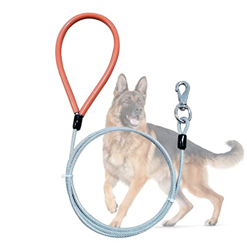 Mi Metty Hundeleine 5ft Leinen für Hunde，Kausichere Hundeleinen,Kettenleine Für mittlere bis große Hunde (Durchsichtig, 5ft/1.5m) von Mi Metty