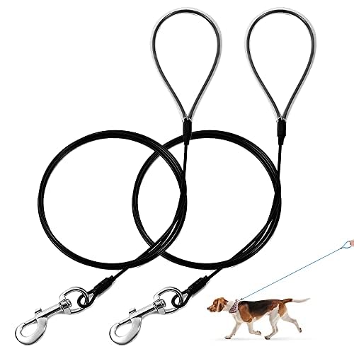 Mi Metty Hundeleine 6ft/1.83m Trainingsleine für Hunde Bissfeste Hundeleine große Hunde Retrieverleine mit Bequemen Gepolsterten Griff (Schwarz+Schwarz) von Mi Metty