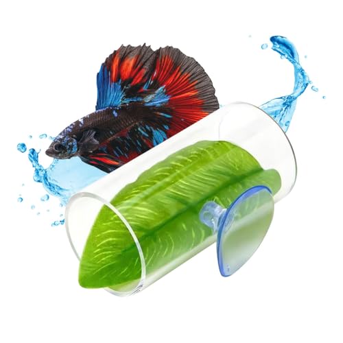 Betta Fisch Acryl Tunnel, Betta Shelter Hideaway, Lebensraum für Fische und Garnelen mit Saugnäpfen zur Befestigung für Kampffische, Laichplätze, Zucht, Ruhebett von MiOYOOW