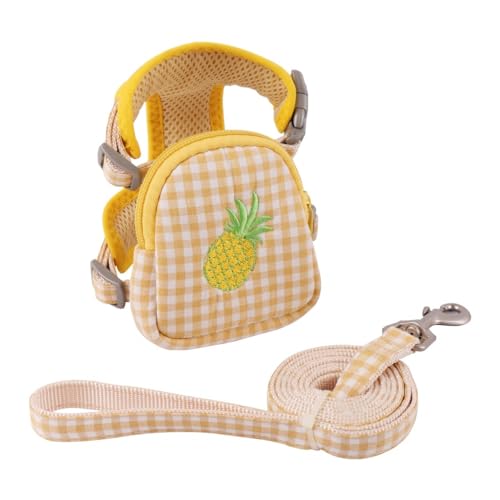 Hundegeschirr Rucksack Leine Set,Abnehmbar Hunde Selbsttragetasche Welpengeschirr Weste Rucksack für Kleine Hunde von MiOYOOW