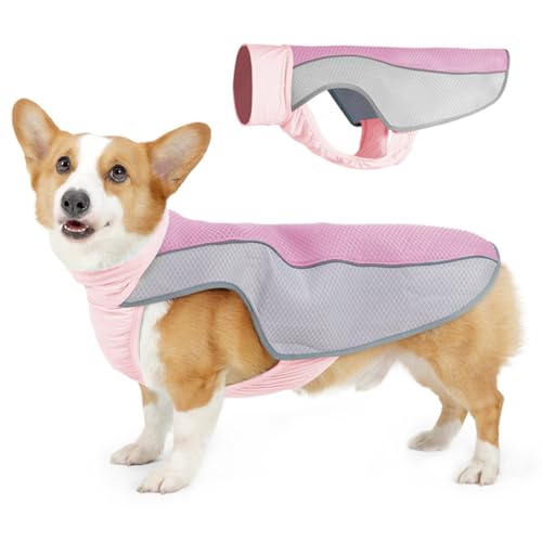 Kühlweste für Hunde, Atmungsaktives Kühljacke für Hunde mit Reflektierenden Streifen für Große und Mittelgroße Hunde von MiOYOOW
