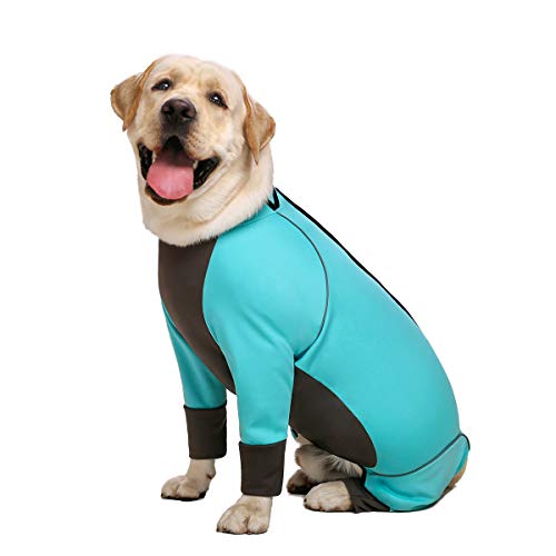 Miaododo Wasserdichter Overall für Hunde, Größe L, Blau, Größe 34 von Miaododo