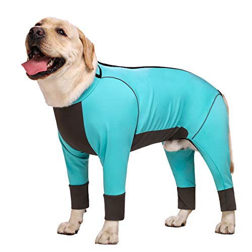 Miaododo Wasserdichter Overall für Hunde, Größe L, Blau von Miaododo