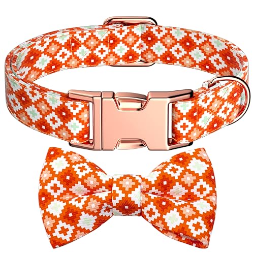 Miavers Hundehalsband mit Fliege, verstellbar, weiche Baumwolle, Fliege, Welpenhalsband mit Metallschnalle, abnehmbare Fliege, Haustierhalsband für kleine, mittelgroße und große Hunde (Orange, L) von Miavers