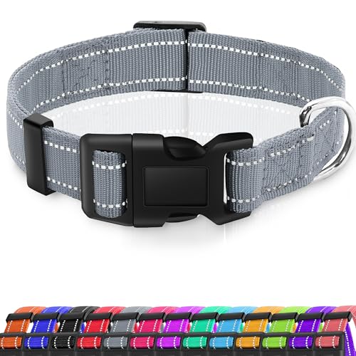 Miavers Reflektierendes Hundehalsband, verstellbares Nylon-Halsband, geeignet für kleine, mittelgroße und große Hunde (Größe XL, Grau (2 Halsbänder), 2 Stück von Miavers