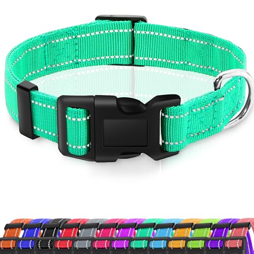 Miavers Reflektierendes Hundehalsband, verstellbares Nylon-Halsband, geeignet für kleine, mittelgroße und große Hunde (klein, Türkis (2 Halsbänder), 2 Stück von Miavers