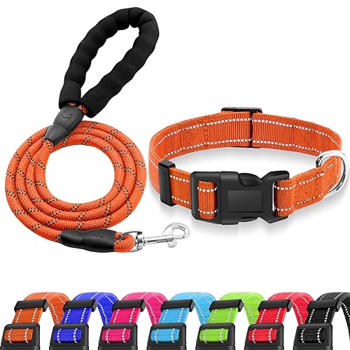 Miavers Reflektierendes Hundehalsband, verstellbares Nylonhalsband, geeignet für kleine, mittelgroße und große Hunde (Größe XL, Orange (Zucker+Leine) von Miavers