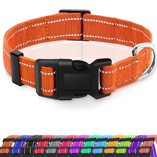 Miavers Reflektierendes Hundehalsband, verstellbares Nylonhalsband, geeignet für kleine, mittelgroße und große Hunde (M, Orange (2 Halsbänder)) von Miavers