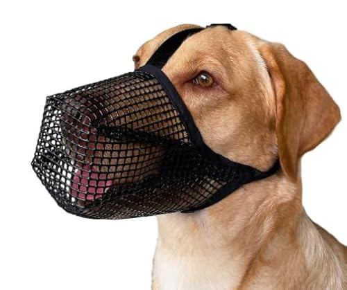 Maulkorb für Große Hunde, Mesh Maulkorb Hund, Atmungsaktive Hunde Maulkorb, Prevent Fressen/Kauen/Beißen Hunde Maulkorb, Verstellbare Hundemaske für kleine, mittelgroße und große Hunde-Schwarz (M) von Miayical