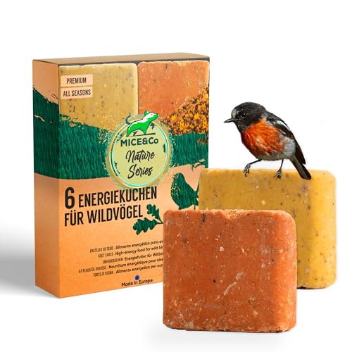 Mice&Co Energiekuchen für Wildvögel - Natürliche Suet Kuchen für Wildvögel, Vogel-Buffets Vogelfutter mit Samen, Vogelfutter Garten | Pack 6 Stück von Mice&Co