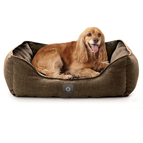 MICRODRY Weiches und gemütliches, rechteckiges Hundebett, 50.8x66x20.3 cm, perfekt für kleine bis mittelgroße Katzen und Hunde, maschinenwaschbar und rutschfeste Unterseite, Braun von Microdry